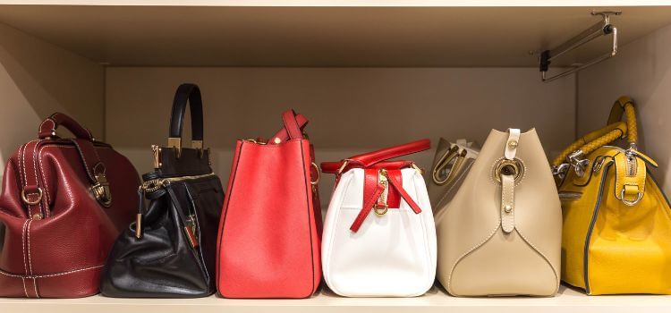 What Can You Find in a Woman's Handbag